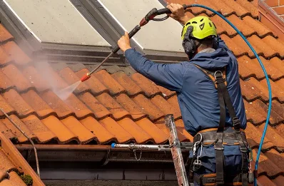 Démoussage et hydrofuge de toiture à Dissay
